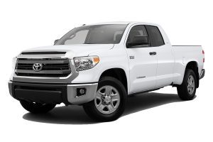 Tundra