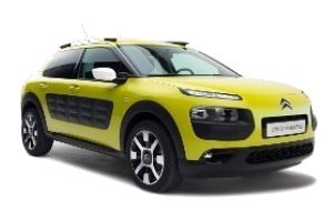 C4 Cactus