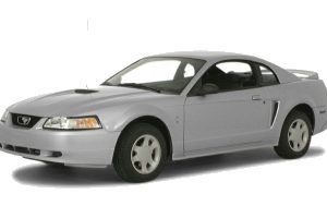 1993-2004